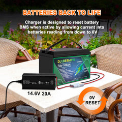12V 20A Lithium Battery Charger,14.6V LiFePO4 AC-DC Battery Charger for Lithium LiFePO4 Deep Cycle Batteries