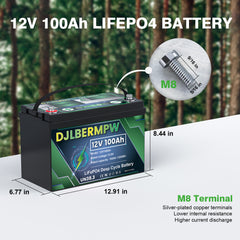 DJLBERMPW 12V 100Ah LiFePO4 Lithium Battery, Deep Cycle Battery with 100A BMS For Trolling Motor Solar Off-grid